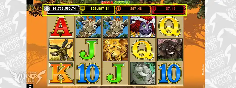 ビデオスロットの種類と特徴