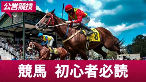 競馬初心者必読！基本ルールからおすすめの馬券の買い方・賭け方等を解説